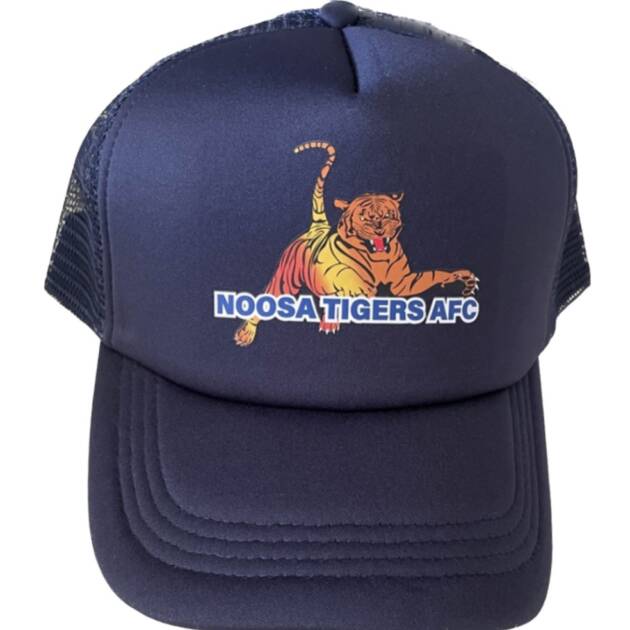Hats - Tigers
